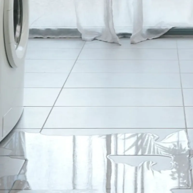 Appliance Leak Cleanup in Devine, TX